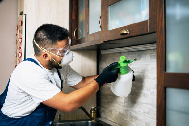 Flea Control Services in Littlestown, PA
