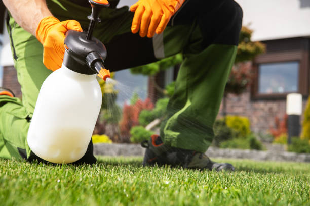 Best Spider Control Near Me  in Littlestown, PA