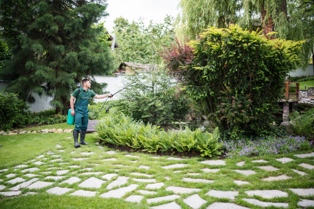 Insect Control in Littlestown, PA