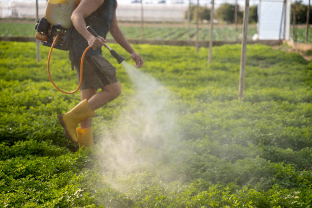 Best Pest Inspection Near Me  in Littlestown, PA