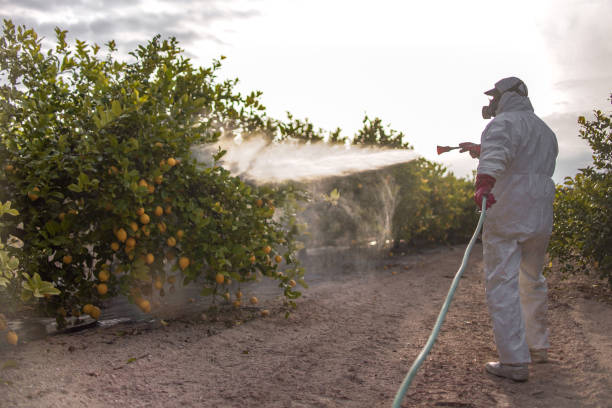 Trusted Littlestown, PA Pest Control Experts