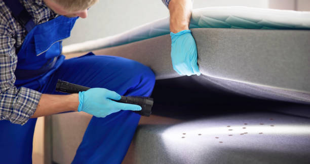 Best Exterminator Services  in Littlestown, PA
