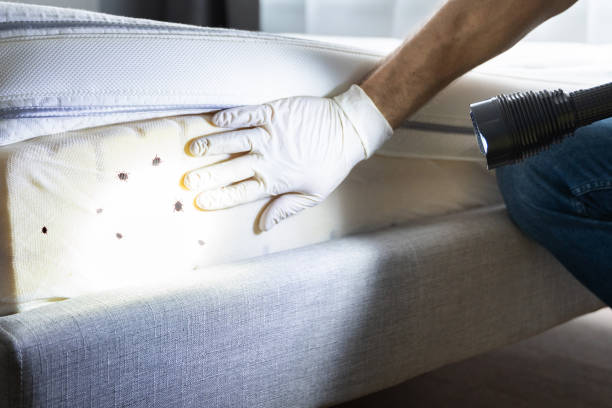Best Pest Control for Businesses  in Littlestown, PA