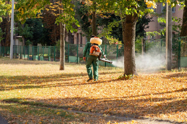 Best Flea Control Services  in Littlestown, PA