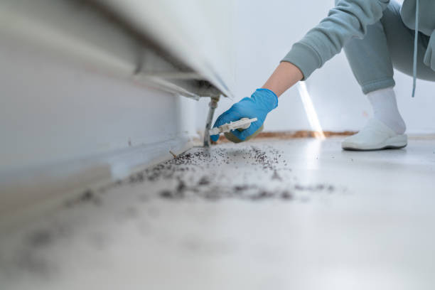 Best Pest Prevention Services  in Littlestown, PA